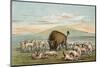 Buffalo and Coyotes-George Catlin-Mounted Photographic Print