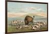 Buffalo and Coyotes-George Catlin-Framed Photographic Print