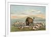 Buffalo and Coyotes-George Catlin-Framed Photographic Print