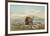 Buffalo and Coyotes-George Catlin-Framed Photographic Print