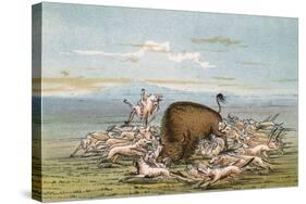 Buffalo and Coyotes-George Catlin-Stretched Canvas