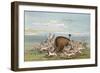 Buffalo and Coyotes-George Catlin-Framed Art Print