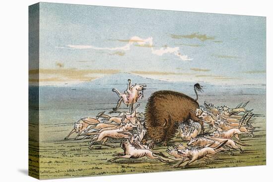 Buffalo and Coyotes-George Catlin-Stretched Canvas