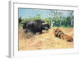 Buffalo and Lion before the Fight-Wilhelm Kuhnert-Framed Giclee Print