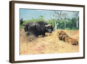 Buffalo and Lion before the Fight-Wilhelm Kuhnert-Framed Giclee Print