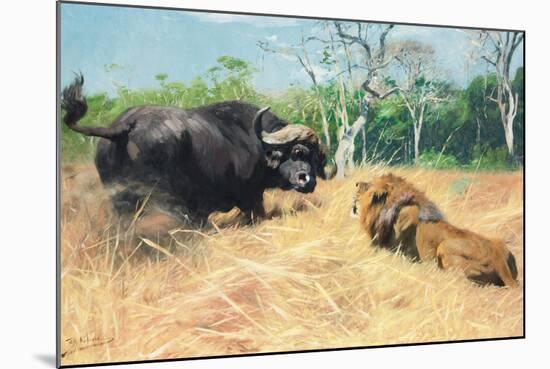 Buffalo and Lion before the Fight-Wilhelm Kuhnert-Mounted Giclee Print