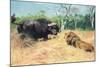 Buffalo and Lion before the Fight-Wilhelm Kuhnert-Mounted Giclee Print