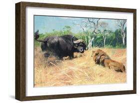 Buffalo and Lion before the Fight-Wilhelm Kuhnert-Framed Giclee Print