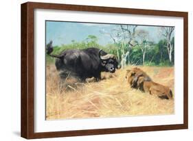 Buffalo and Lion before the Fight-Wilhelm Kuhnert-Framed Giclee Print