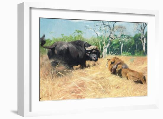 Buffalo and Lion before the Fight-Wilhelm Kuhnert-Framed Giclee Print