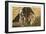 Buffalo Bill and Chief Iron Tail-null-Framed Art Print