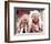 Buffalo Bill and the Indians, or Sitting Bull's History Lesson-null-Framed Photo