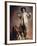 Buffalo Bill Cody (1846-1917) (Photo)-American Photographer-Framed Giclee Print