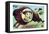 Buffalo Bill: Je Viens-null-Framed Stretched Canvas