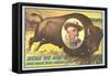 Buffalo Bill Picture Imposed on Bison-null-Framed Stretched Canvas