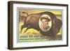 Buffalo Bill Picture Imposed on Bison-null-Framed Art Print