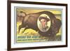 Buffalo Bill Picture Imposed on Bison-null-Framed Premium Giclee Print