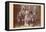 Buffalo Bill, Sitting Bull, and Others-null-Framed Stretched Canvas