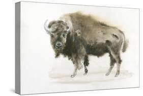 Buffalo Bill-James Wiens-Stretched Canvas