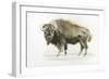 Buffalo Bill-James Wiens-Framed Art Print