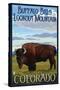 Buffalo Bills Lookout Mountain, Colorado - Bison Scene-Lantern Press-Stretched Canvas