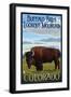 Buffalo Bills Lookout Mountain, Colorado - Bison Scene-Lantern Press-Framed Art Print