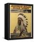 Buffalo Bills Wild West V-null-Framed Stretched Canvas