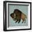 Buffalo Bison I-Ryan Fowler-Framed Art Print