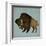 Buffalo Bison I-Ryan Fowler-Framed Art Print