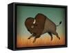 Buffalo Bison II-Ryan Fowler-Framed Stretched Canvas