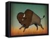 Buffalo Bison II-Ryan Fowler-Framed Stretched Canvas