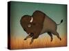 Buffalo Bison II-Ryan Fowler-Stretched Canvas