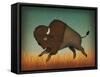 Buffalo Bison II-Ryan Fowler-Framed Stretched Canvas