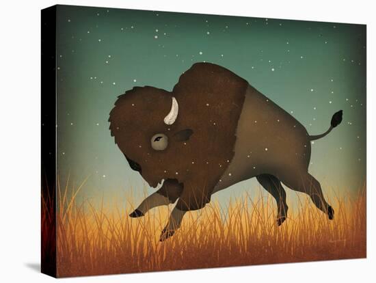 Buffalo Bison II-Ryan Fowler-Stretched Canvas