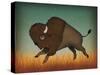 Buffalo Bison II-Ryan Fowler-Stretched Canvas