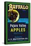 Buffalo Brand Apples-null-Framed Stretched Canvas