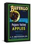Buffalo Brand Apples-null-Framed Stretched Canvas