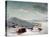 Buffalo Chase In Winter-George Catlin-Stretched Canvas