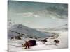 Buffalo Chase In Winter-George Catlin-Stretched Canvas