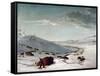 Buffalo Chase In Winter-George Catlin-Framed Stretched Canvas