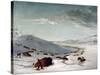 Buffalo Chase In Winter-George Catlin-Stretched Canvas
