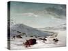 Buffalo Chase In Winter-George Catlin-Stretched Canvas