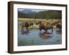 Buffalo Crossing-Jack Sorenson-Framed Art Print