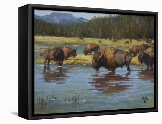 Buffalo Crossing-Jack Sorenson-Framed Stretched Canvas