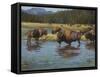 Buffalo Crossing-Jack Sorenson-Framed Stretched Canvas