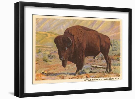 Buffalo, Custer State Park-null-Framed Art Print