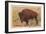 Buffalo, Custer State Park-null-Framed Art Print