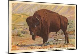 Buffalo, Custer State Park-null-Mounted Art Print