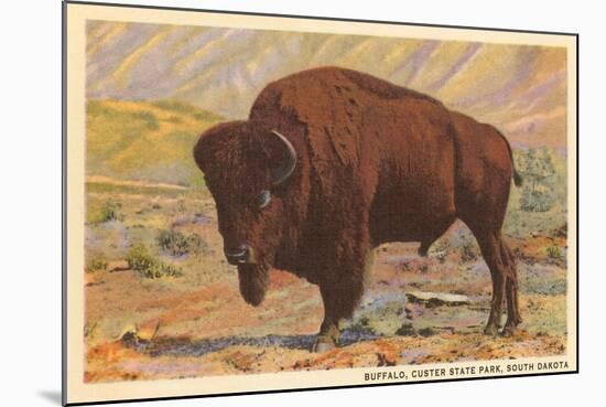 Buffalo, Custer State Park-null-Mounted Art Print