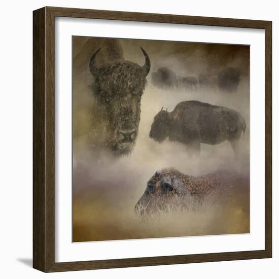 Buffalo Dreams-Jai Johnson-Framed Giclee Print